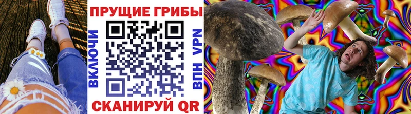 кракен зеркало  Крым  Галлюциногенные грибы MAGIC MUSHROOMS 